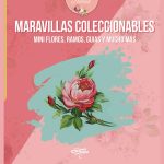 Libro Maravillas Coleccionable
