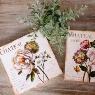 proyectos individuales